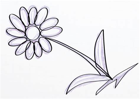 Image result for Convert Hand Drawing to Vector