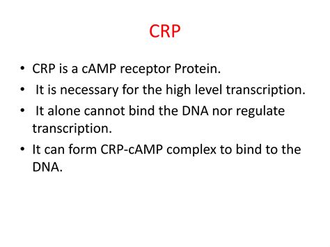 Image result for Positive Und Negative Regulation Lac Operon Chart