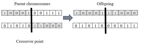 Image result for Crossover Rate in Genetic Algorithm