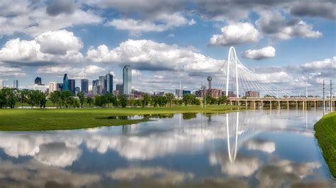 Pegasus: The Beloved Unofficial Mascot of Dallas.