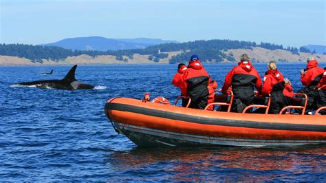 MAMMA MARIA, Boston - North End - Restaurant Reviews, Phone Number ...