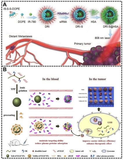 Harnessing Protein Corona for Biomimetic Nanomedicine Design