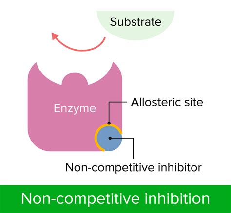 Enzyme Inhibition | Concise Medical Knowledge
