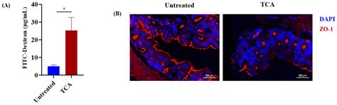 Bile Acid Regulates the Colonization and Dissemination of Candida ...