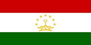 EDigitalCard-LITZTECH | EDigitalCard-LITZTECH