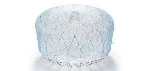 Image result for Optech Laser Watchman