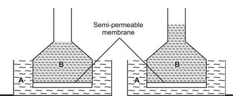 Examine the following illustrations and answer the following questions ...