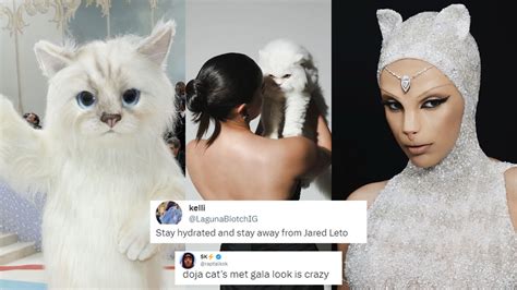 Met Gala 2023: Not Alia Bhatt's Edward But These Cats Took Over The Red ...