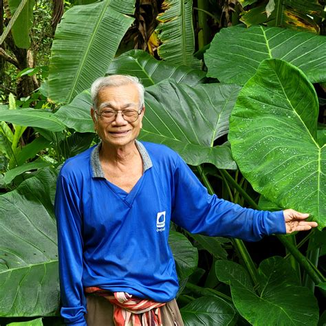 Minimal House 的图像结果