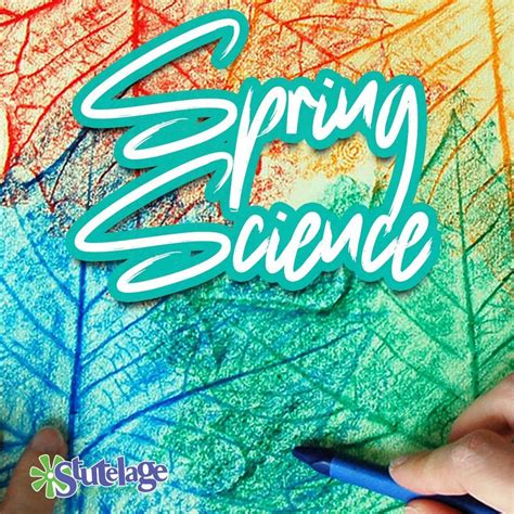 Spring Science Spring Break Camp, Stutelage Innovations, East Amherst ...