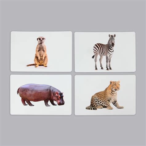 Animals Flash Cards–Smartt Sprouts