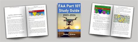 Faaa 107 Tutorial 的图像结果