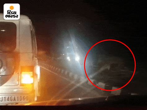 Gujarat Rajula Jafrabad highway sighting of 2-3 lions near Victor ...