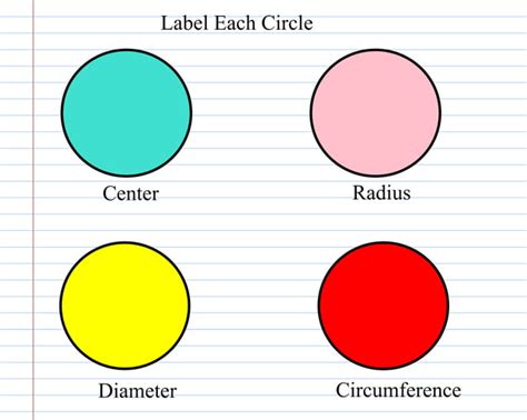 Image result for Circumference Explained