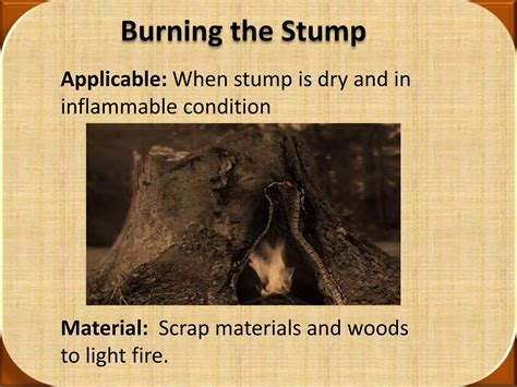 Tree stump removal methods | PPTX