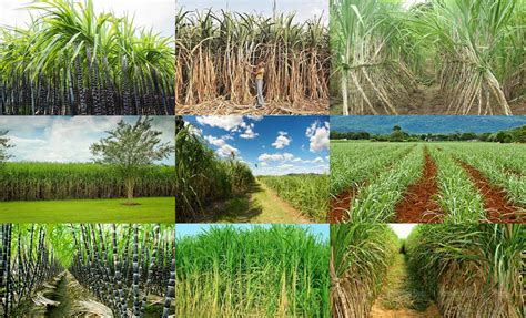 Yamuna Engineering Works