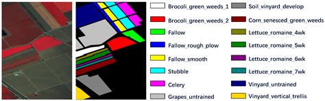 Hierarchical Multi-Scale Convolutional Neural Networks for ...