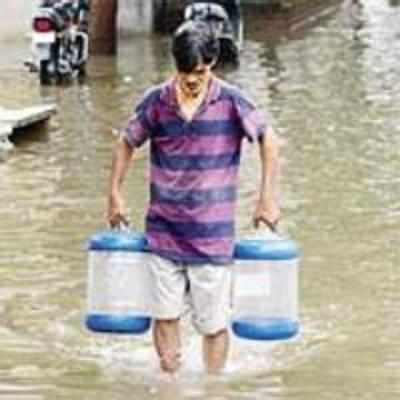 Yellow disease and more