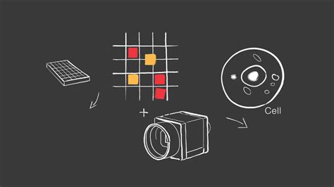 HCS and HCA Resources | Thermo Fisher Scientific - IN