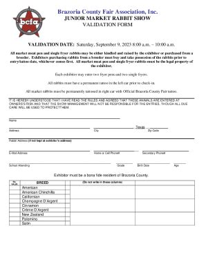 Fillable Online VALIDATION FORM Fax Email Print - pdfFiller