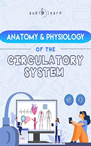 Anatomy & Physiology of the Circulatory System - A Complete Guide to ...
