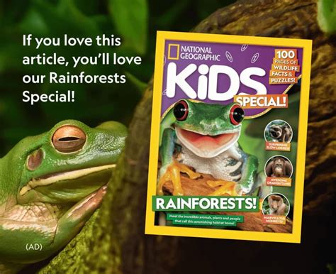 Anaconda Facts! - National Geographic Kids