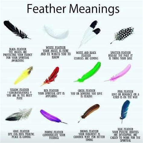 meaning of native american feather colourization