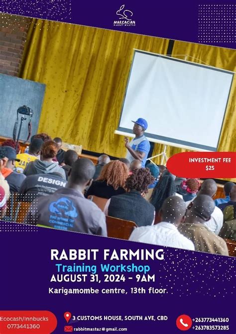 Rabbit training workshop , International Coaching and Mentoring ...