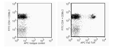 APC Rat Anti-Mouse Vα2 TCR
