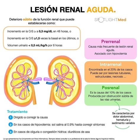 Insuficiencia Renal Aguda Pré Renal - RETOEDU