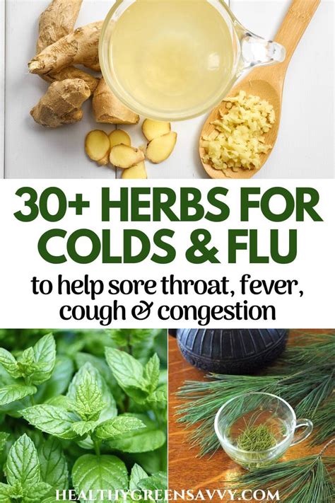 Cold Fever Medicine 的图像结果