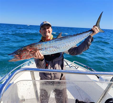 130+ Spanish off Moreton Island yesterday : r/FishingAustralia
