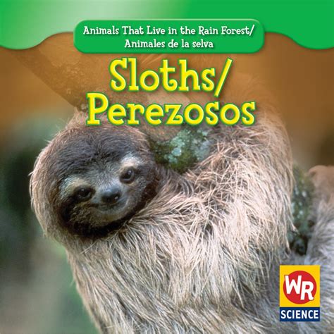 Buy Sloths/ Perezosos (Animals That Live in the Rain Forest/ Animales ...
