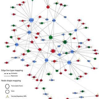 Gwas Microarray 的图像结果