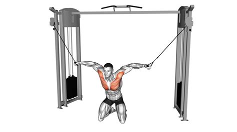 Image result for Cable Machine Workout