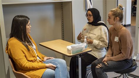 Image result for Du Psyd Program