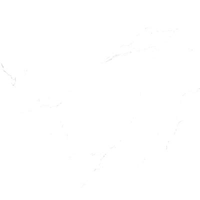 SATATUARIO PEARL - | Indian Business Portal