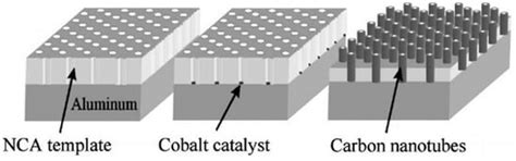 Micromachines | Special Issue : Carbon Nanotube-Based Devices