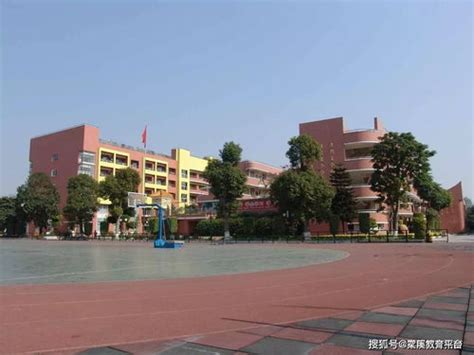 华东康桥国际学校2023年入学条件