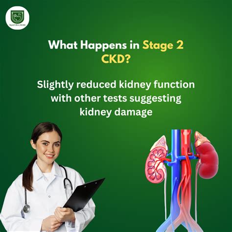 What is Chronic Kidney Disease (CKD) Stage 2? - Mantraherb
