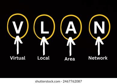 Virtual Local Area Network 的图像结果