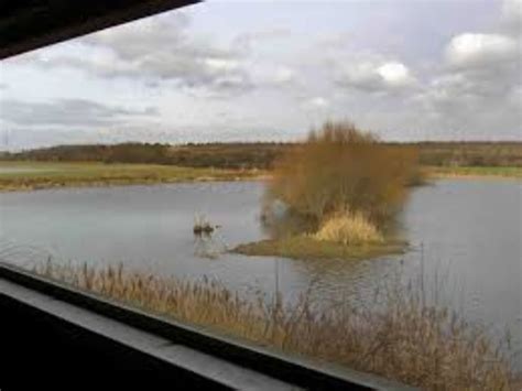 RSPB Old Moor , rotherham, United Kingdom - Top Attractions, Things to ...