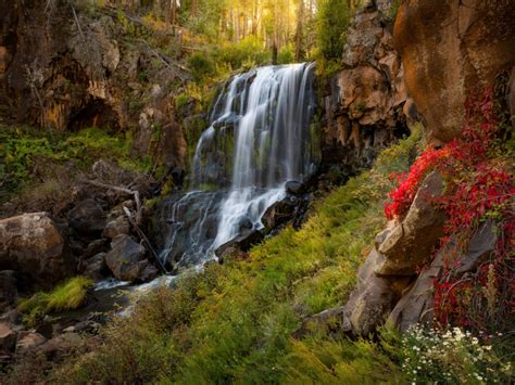 Download wallpaper forest, rock, waterfall, AZ, Arizona, White ...