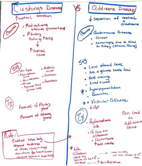 WEEK 5: Cushing's Disease vs. Addison's Disease Overview - Studocu
