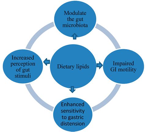 Role of Overweight and Obesity in Gastrointestinal Disease