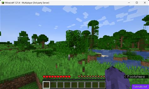 Image result for Minecraft Local Server