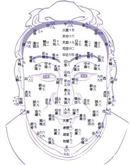 沖太歲犯太歲兩大生肖 面相分析部位流年要訣（下） 2021年辛丑牛年 - 澳門力報官網