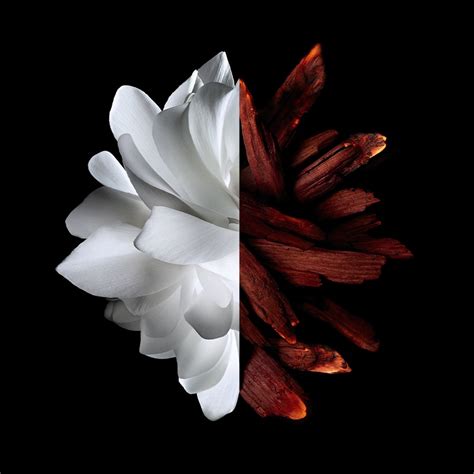 L'Interdit Givenchy Eau de Parfum Rouge for Woman |Givenchy Beauty