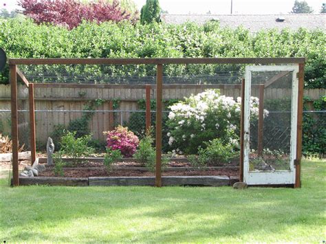 What Garden Plants Need Cages at Gary Mousseau blog