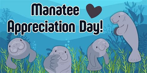 Manatee Appreciation Day Crafts! (Kids of All Ages), Denville Library ...